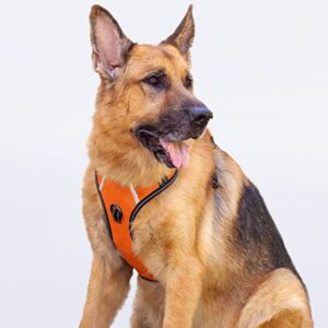 Best harness for german shepherds