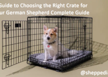 A Guide to Choosing the Right Crate for Your German Shepherd Complete Guide