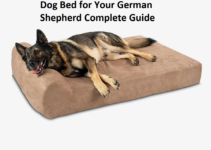 Tips for Selecting the Perfect Dog Bed for Your German Shepherd Complete Guide