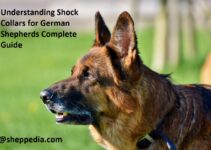 Understanding Shock Collars for German Shepherds Complete Guide