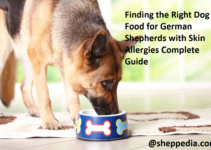 Finding the Right Dog Food for German Shepherds with Skin Allergies Complete Guide