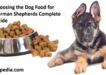 Choosing the Dog Food for German Shepherds Complete Guide 