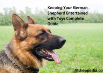 Keeping Your German Shepherd Entertained with Toys Complete Guide