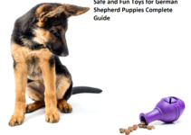 Safe and Fun Toys for German Shepherd Puppies Complete Guide